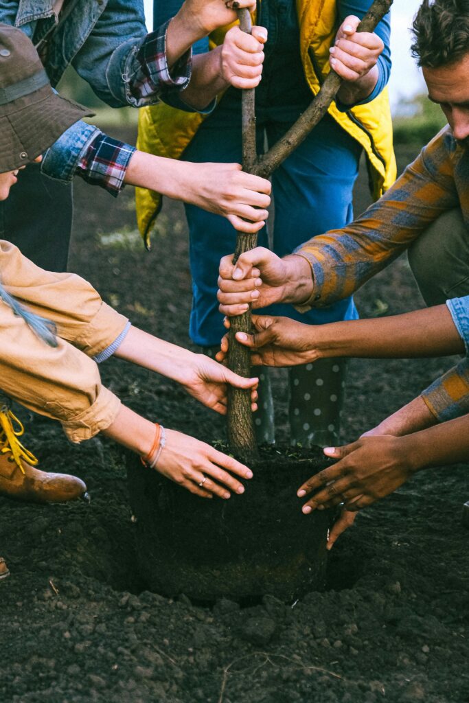 A diverse group working together to plant a tree, symbolizing teamwork and sustainability.